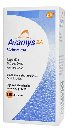 Vista 1